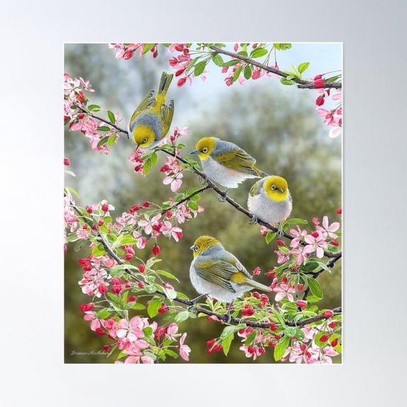 Spring Morning (Silvereyes) Poster Wall Art, Modern Wall Decor For Living Room Bedroom, 24x36 UNFRAMED