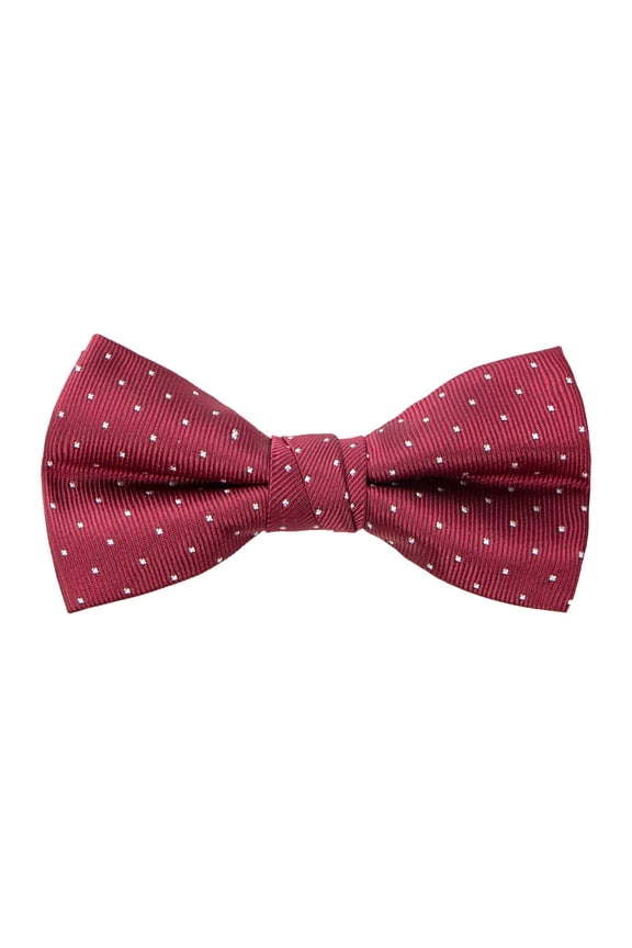 Boy's Dotted Woven Bow Tie