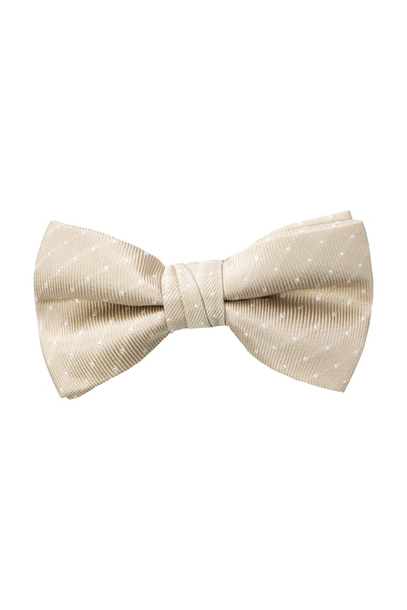 Boy's Dotted Woven Bow Tie