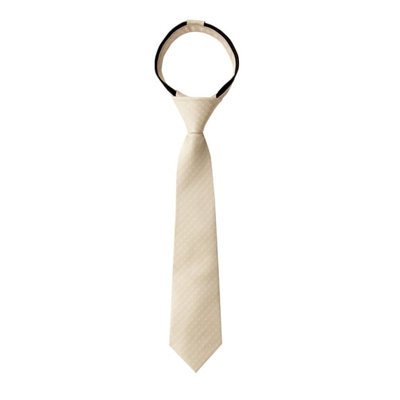 Spring Notion Boy's Dotted Woven Zipper Tie
