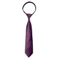 thumbnail image 1 of Spring Notion Boy's Solid Color Satin Zipper Tie with Gift Box, 1 of 7