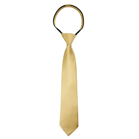 Spring Notion Boy's Solid Color Satin Zipper Tie with Gift Box