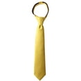 thumbnail image 1 of Spring Notion Boy's Solid Color Satin Zipper Tie, 1 of 5