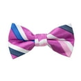 thumbnail image 1 of Spring Notion Boy's Striped Woven Bow Tie, 1 of 2
