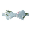 thumbnail image 1 of Spring Notion Boys' Cotton Floral Print Pre-tied Bow Tie, 1 of 4