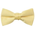 thumbnail image 1 of Spring Notion Boys' Pre-tied Banded Satin Bow Tie, 1 of 3
