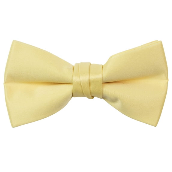 Spring Notion Boys' Pre-tied Banded Satin Bow Tie