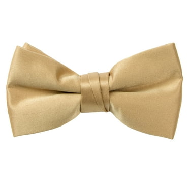 Spring Notion Boys' Pre-tied Banded Satin Bow Tie
