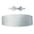 thumbnail image 1 of Spring Notion Men's Cummerbund and Bow Tie Set Silver, 1 of 4