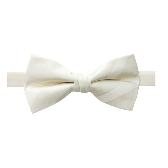 Spring Notion Men's Elegant Stripes Woven Bow Tie