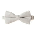 thumbnail image 1 of Spring Notion Men's Linen Blend Bow Tie, 1 of 3