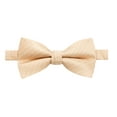thumbnail image 1 of Spring Notion Men's Microfiber Dotted Bow Tie, 1 of 3