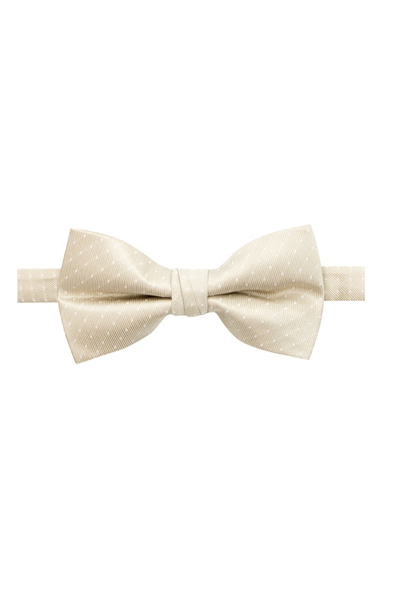 Men's Microfiber Dotted Bow Tie