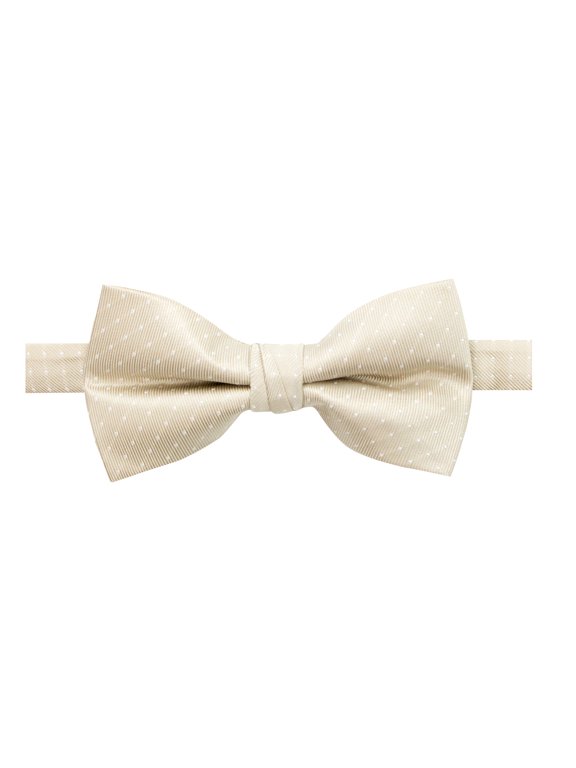 Men's Microfiber Dotted Bow Tie