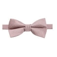 thumbnail image 1 of Spring Notion Men's Microfiber Dotted Bow Tie, 1 of 3