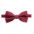 thumbnail image 1 of Spring Notion Men's Microfiber Dotted Bow Tie, 1 of 3