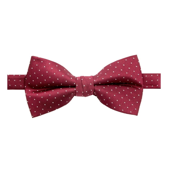 Spring Notion Men's Microfiber Dotted Bow Tie