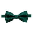 thumbnail image 1 of Spring Notion Men's Microfiber Dotted Bow Tie, 1 of 3