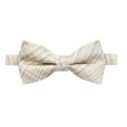 thumbnail image 1 of Spring Notion Men's Microfiber Fine Texture Bow Tie, 1 of 4
