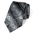 thumbnail image 1 of Spring Notion Men's Paisley Pattern Gradient Microfiber Woven Tie, 1 of 3