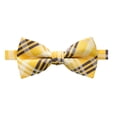 thumbnail image 1 of Spring Notion Men's Plaid Woven Bow Tie, 1 of 4
