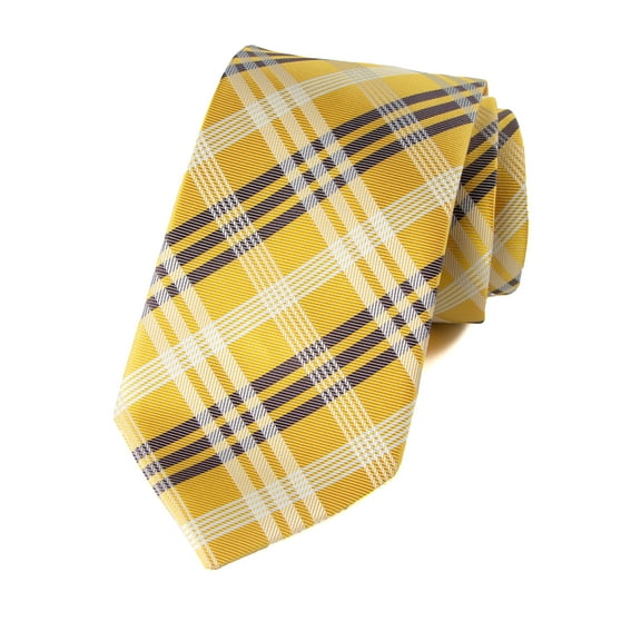 Spring Notion Men's Plaid Woven Necktie