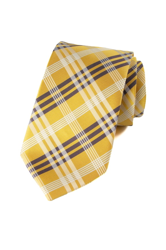 Men's Plaid Woven Necktie