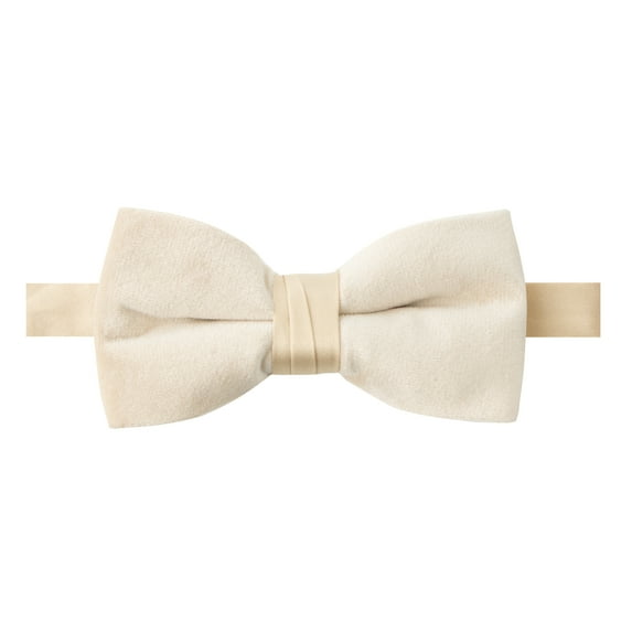 Spring Notion Men's Pretied Velvet Bow Tie