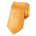 thumbnail image 1 of Spring Notion Men's Solid Color Satin Microfiber Tie, 1 of 3