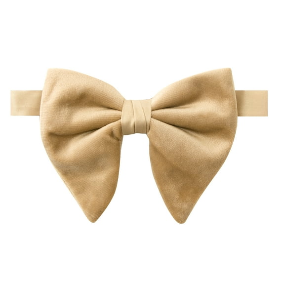 Spring Notion Men's Vintage Velvet Bow Tie