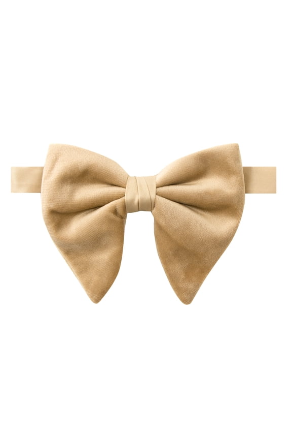 Men's Vintage Velvet Bow Tie