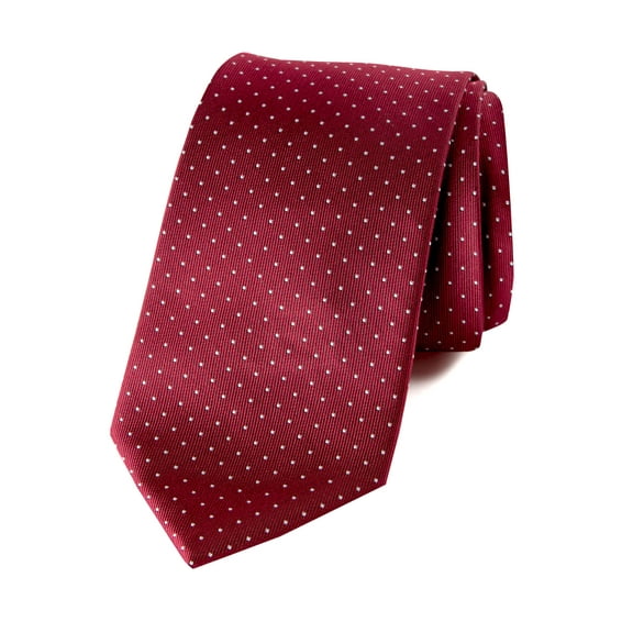 Spring Notion Men's Woven Dotted Necktie