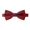 thumbnail image 1 of Spring Notion Mens Metallic Marblelized Bow Tie, 1 of 4