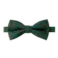 thumbnail image 1 of Spring Notion Mens Metallic Marblelized Bow Tie, 1 of 4