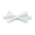 thumbnail image 1 of Spring Notions Boys' Velvet Bow Tie, 1 of 4