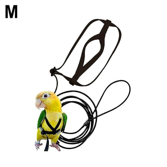 Spring Parrot Bird Harness Leash Adjustable Training Rope Flying Traction Straps Band Parrot Flying Rope Parrot Harness Bird Harness M