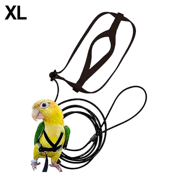 Spring Parrot Bird Harness Leash Adjustable Training Rope Flying Traction Straps Band Parrot Flying Rope Parrot Harness Bird Harness XL