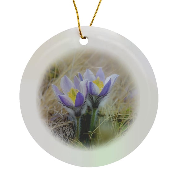 3drose, Spring Pasqueflower Growing in Mountains of Otztal Alps, Italy., Circle Porcelain Ornament