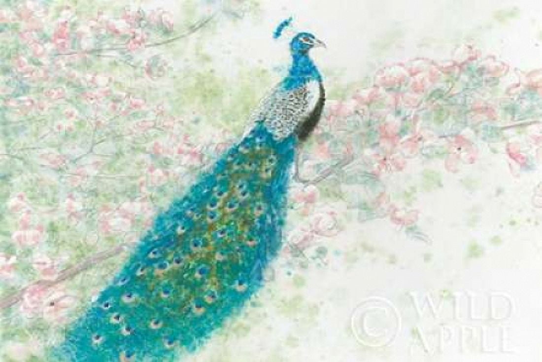 Spring Peacock I Pink Flowers Canvas Art - James Wiens (24 x 36)