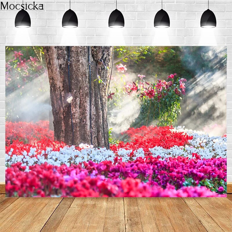 Spring Photography Background a Ray Of Sunshine Flowers Green Leaves ...