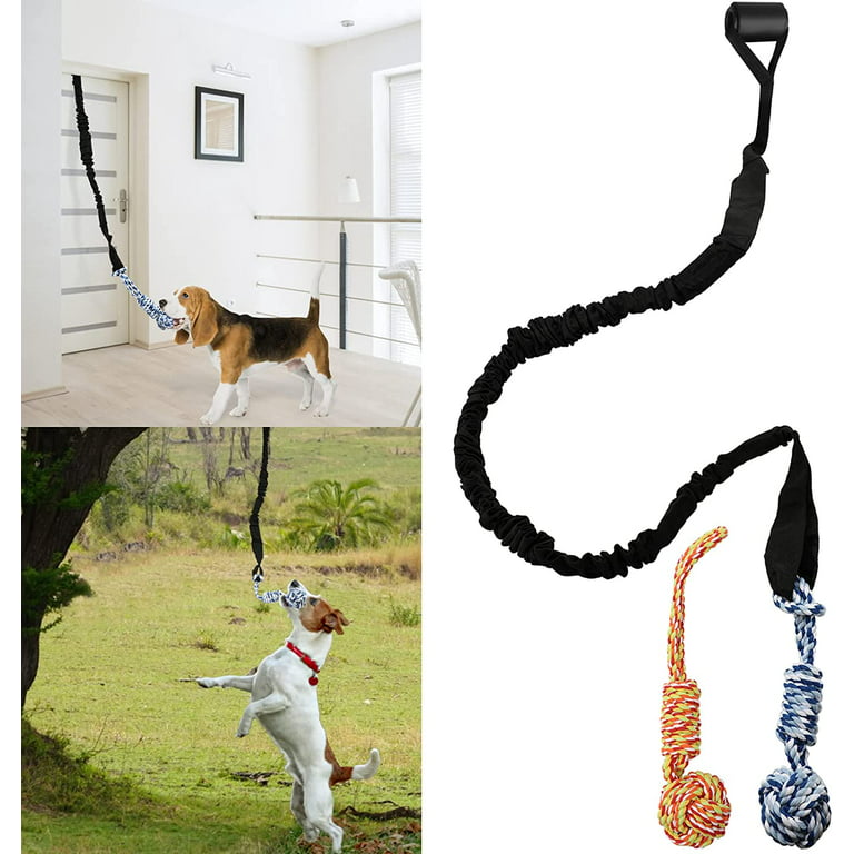 5PCS Spring Pole Dog Rope Toys, Tree Bungee Hanging Dog Toys, Indoor  Outdoor Dog Bungee Tug Interactive Exercise Toys, Pull & Tug of War Dog Toy  with