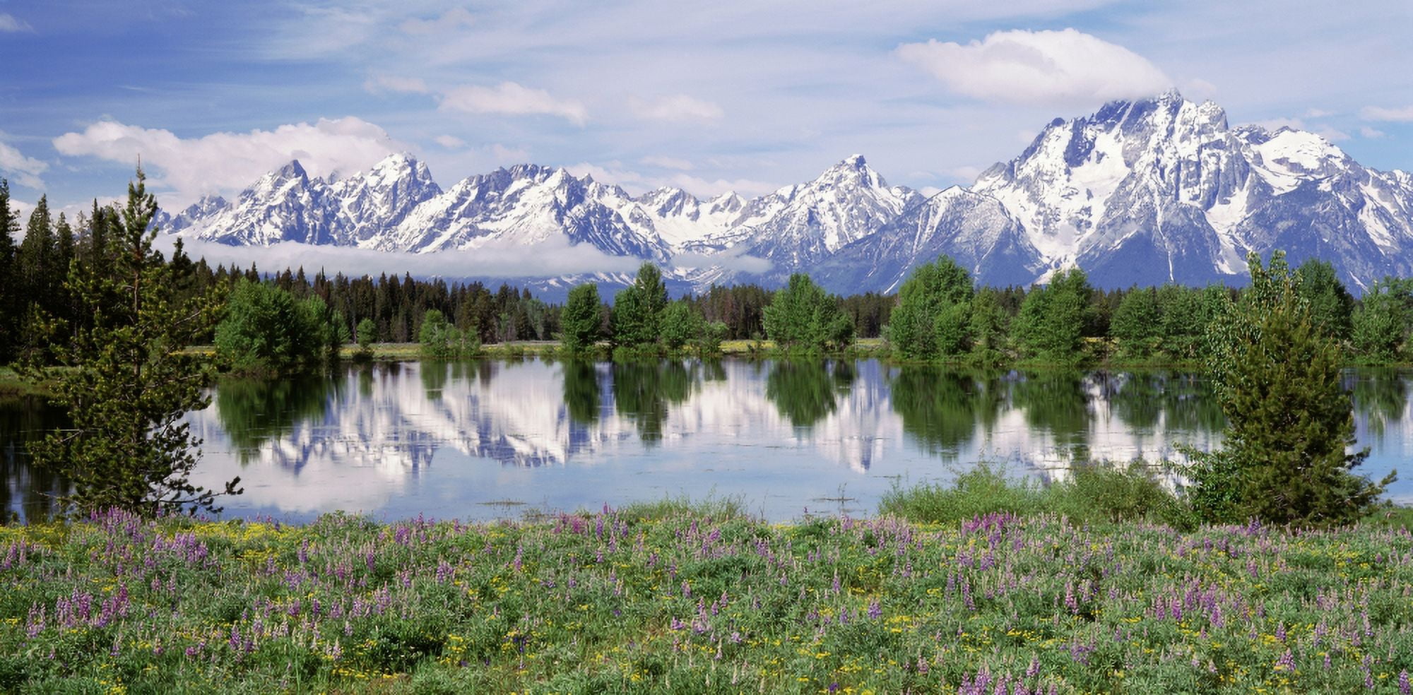 Spring Pond Grand Teton National Park WY USA Canvas Art - Panoramic Images (27 x 9)