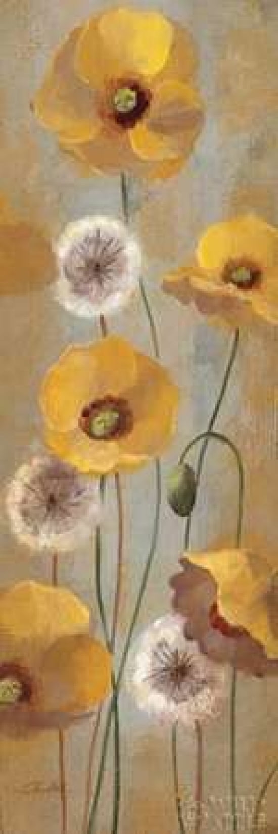Spring Poppies I Canvas Art - Silvia Vassileva (12 x 36)
