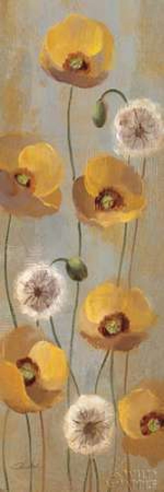 Spring Poppies II Canvas Art - Silvia Vassileva (12 x 36)