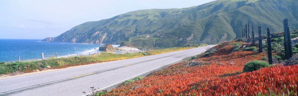 Spring Route 1 California Coast Canvas Art - Panoramic Images (36 x 12)