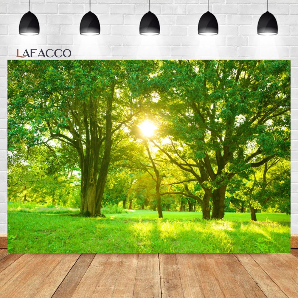 Spring Scenery Backdrop Rural Forest Trees Woodland Meadow Grass Flower ...