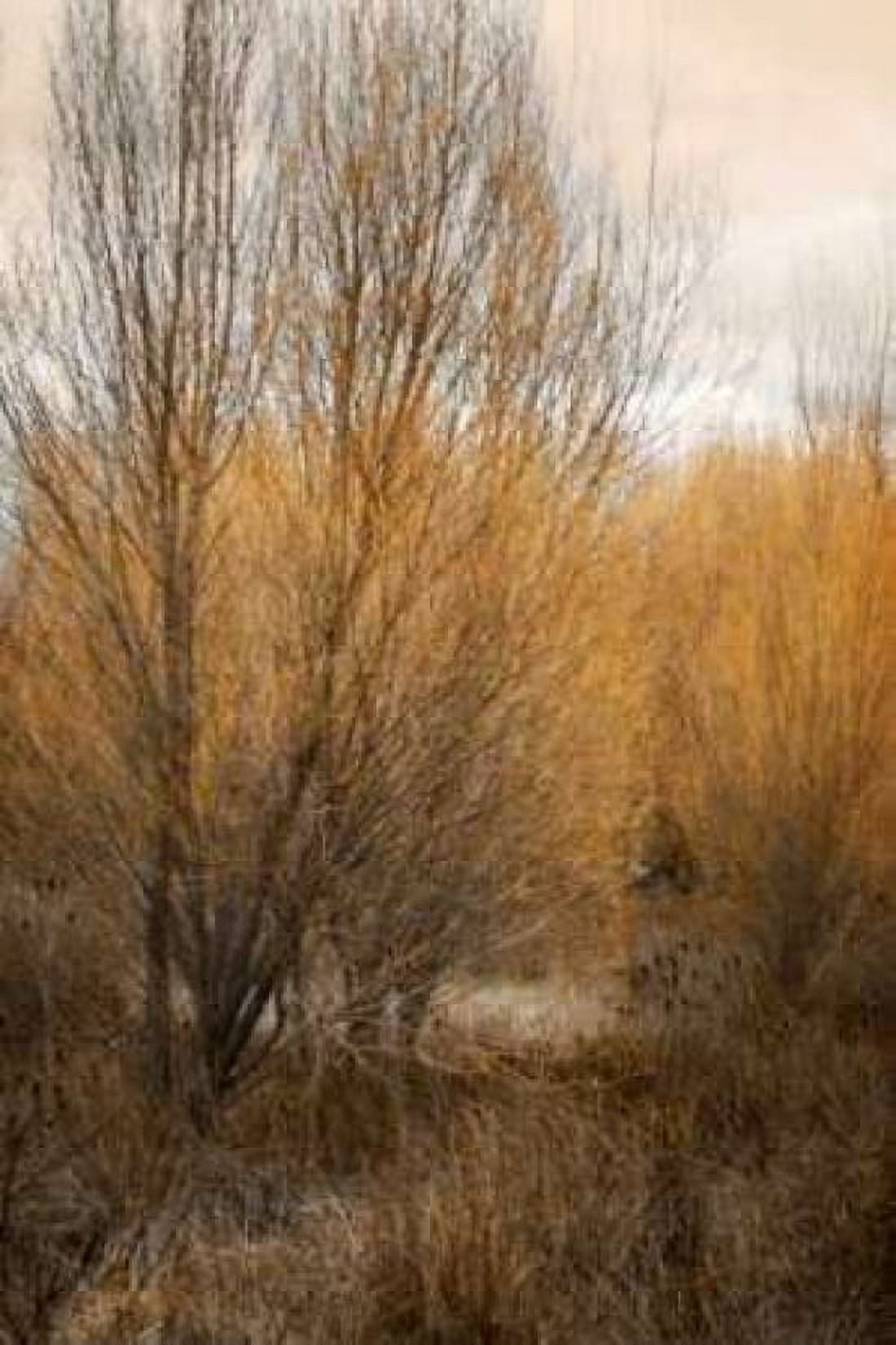 Spring Serenity II Canvas Art - Vitaly Geyman (24 x 36)