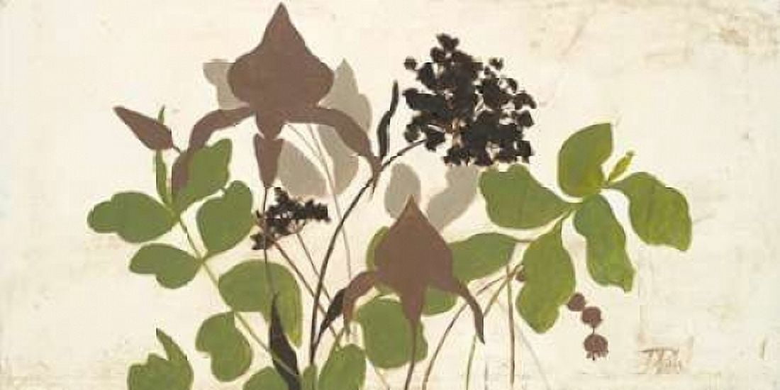 Spring Shadows I Canvas Art - Patricia Pinto (10 x 20)
