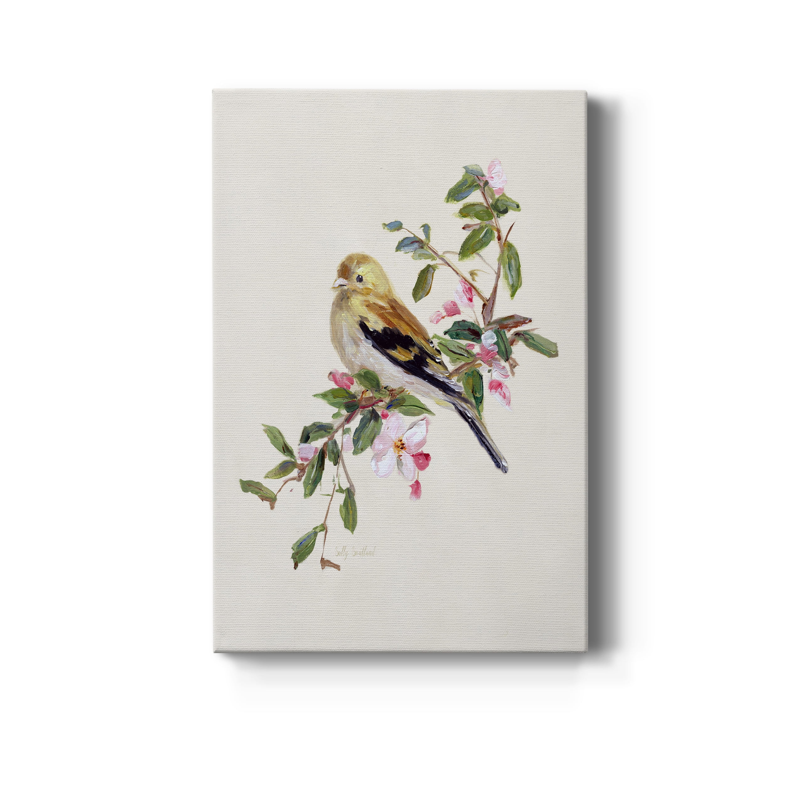 Spring Song Pine Grosbeak Premium Gallery Wrapped Canvas - Ready to Hang - 40 x 60