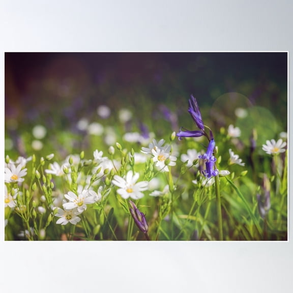 Spring Sprung Poster Wall Art, Modern Wall Decor For Living Room Bedroom, 12x18 UNFRAMED